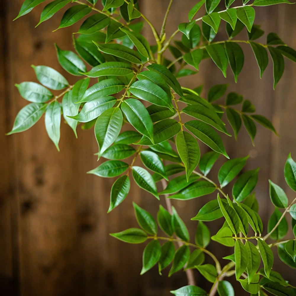 Artificial Fig Tree