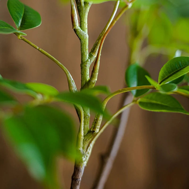 Artificial Fig Tree